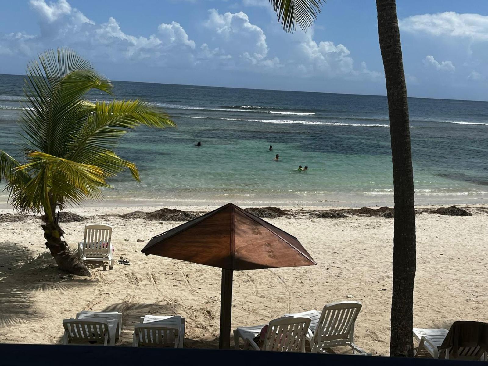 Creole Seo, Douceur De Vivre Tropicale * Sainte-Anne (Grande-Terre)