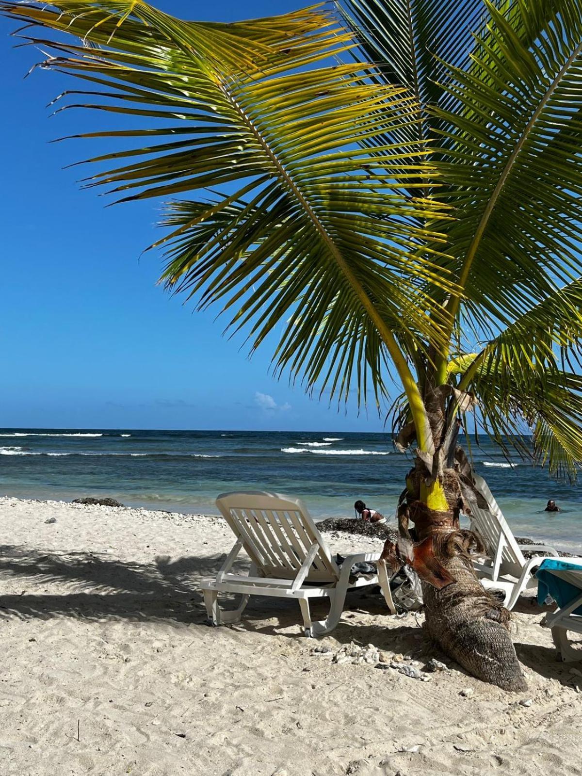 Creole Seo, Douceur De Vivre Tropicale * Sainte-Anne (Grande-Terre)