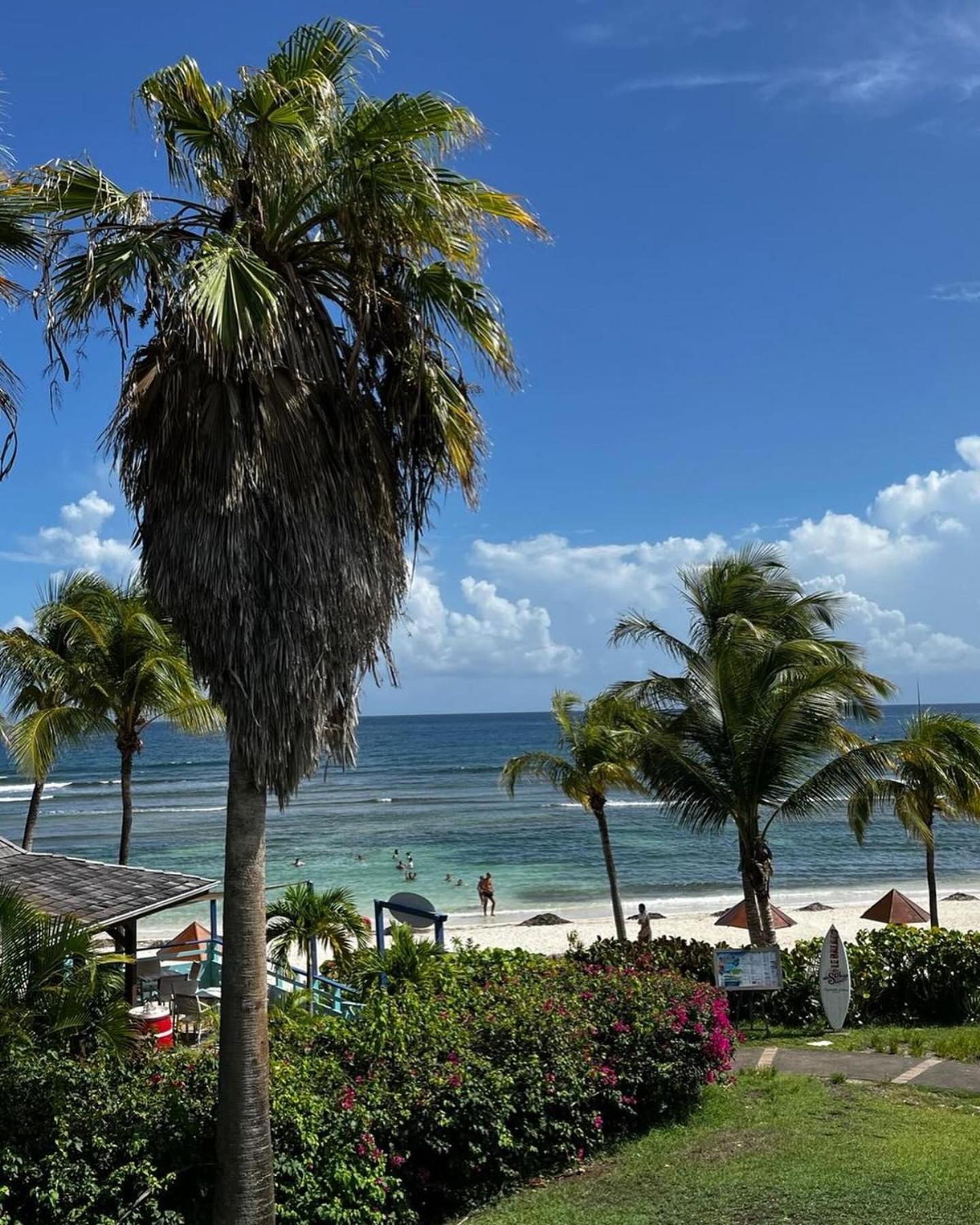 Creole Seo, Douceur De Vivre Tropicale * Sainte-Anne (Grande-Terre)